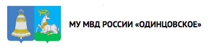 logo__mvd